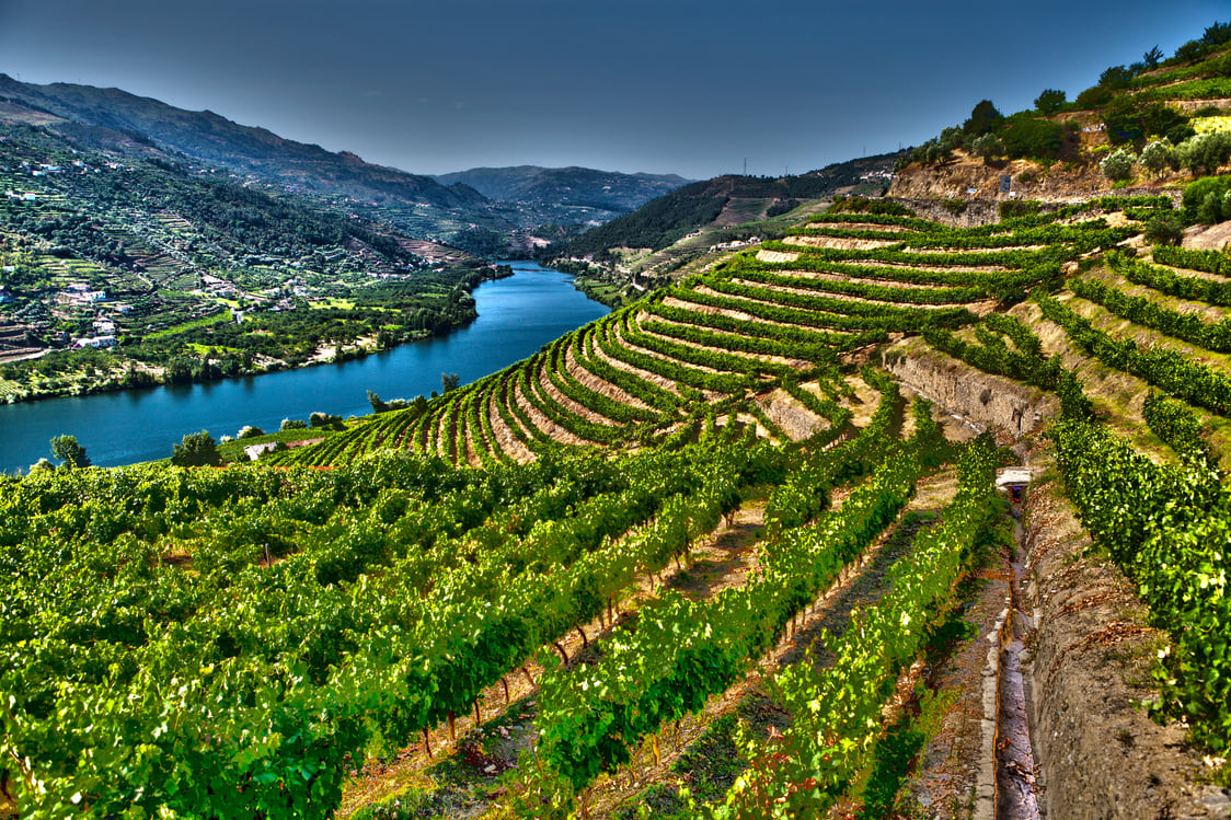 Douro Valley